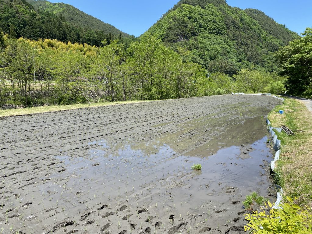 風吹き抜ける