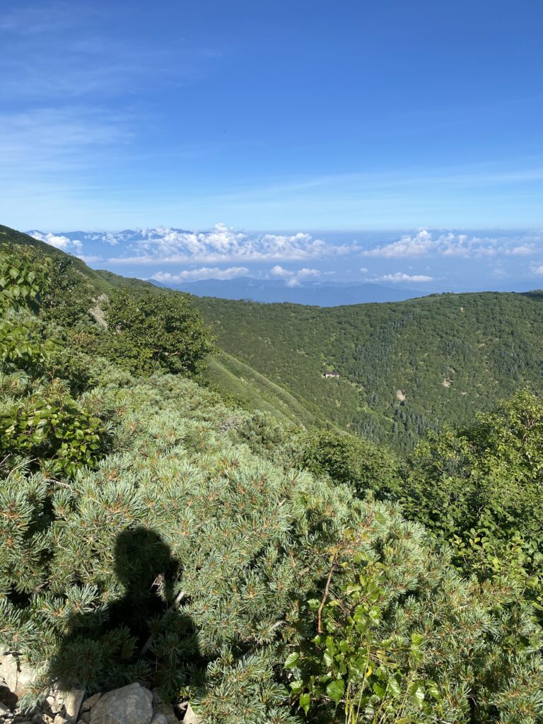 私の夏休み