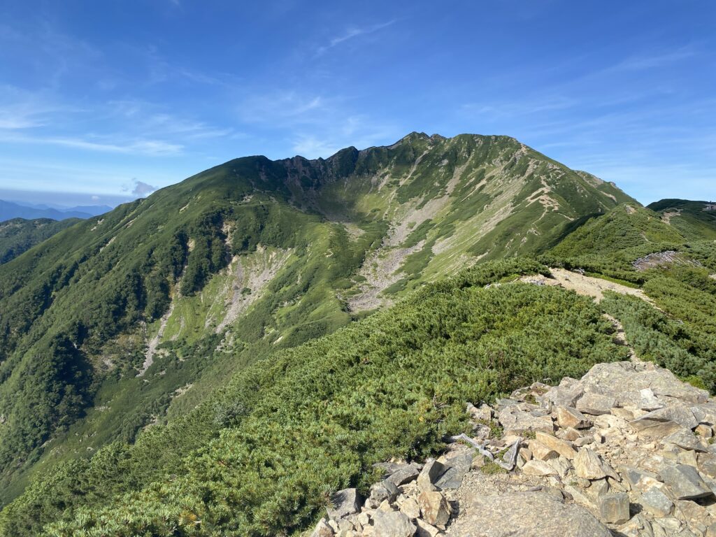 私の夏休み